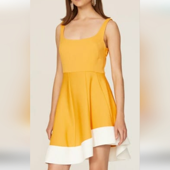 Esteban Cortazar Collective Flamenco Dress - Picture 2 of 7